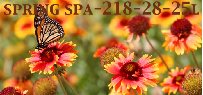 spring SPA-218-28-25L